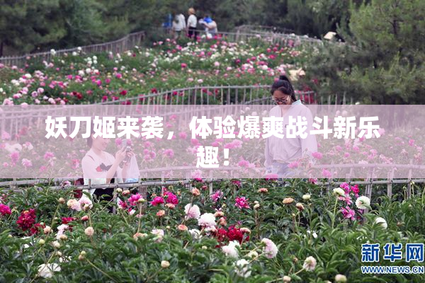 妖刀姬来袭，体验爆爽战斗新乐趣！