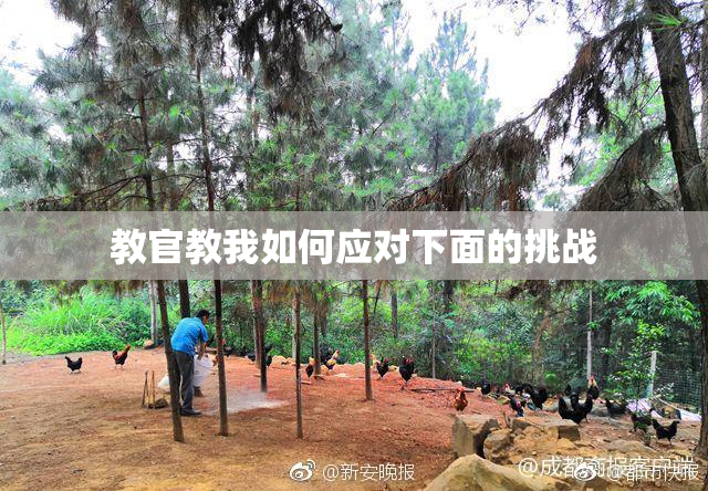 教官教我如何应对下面的挑战