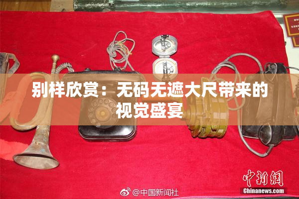 别样欣赏：无码无遮大尺带来的视觉盛宴
