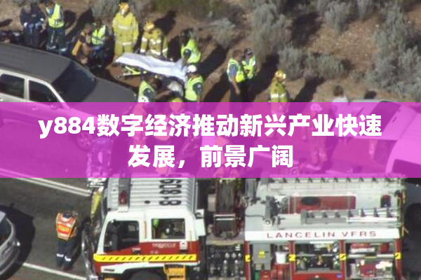 y884数字经济推动新兴产业快速发展，前景广阔