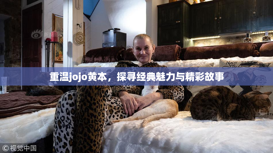 重温jojo黄本，探寻经典魅力与精彩故事