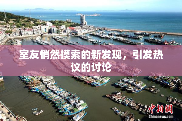 室友悄然摸索的新发现，引发热议的讨论