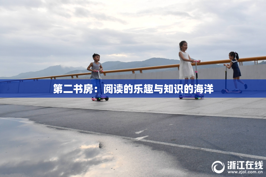 第二书房：阅读的乐趣与知识的海洋