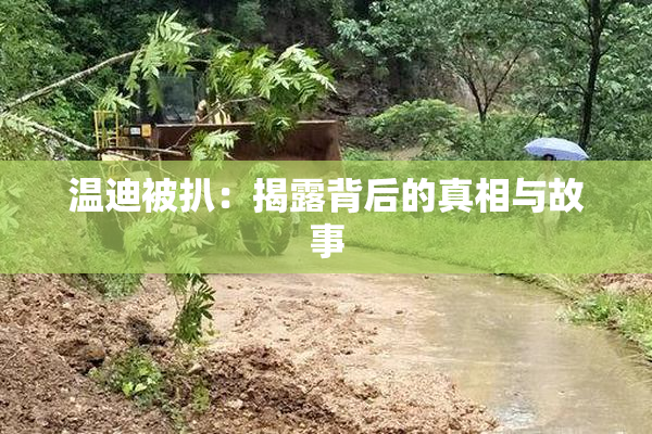温迪被扒：揭露背后的真相与故事