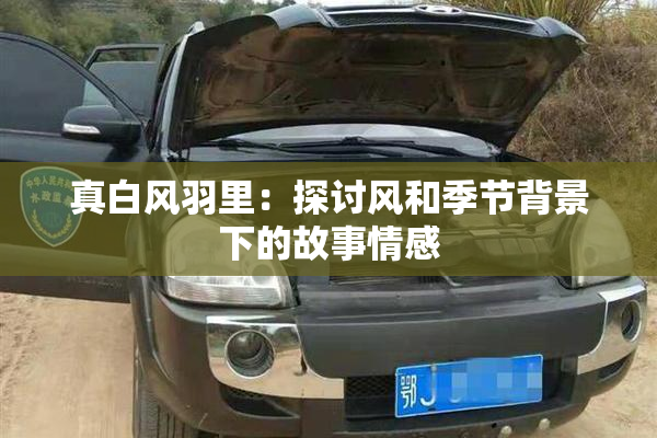 真白风羽里：探讨风和季节背景下的故事情感