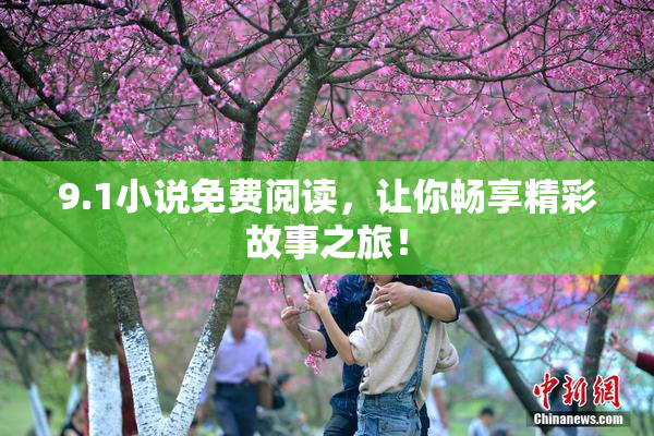 9.1小说免费阅读，让你畅享精彩故事之旅！