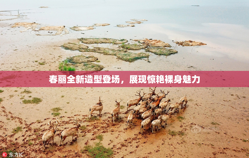 春丽全新造型登场，展现惊艳裸身魅力