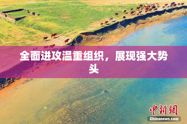 全面进攻温重组织，展现强大势头