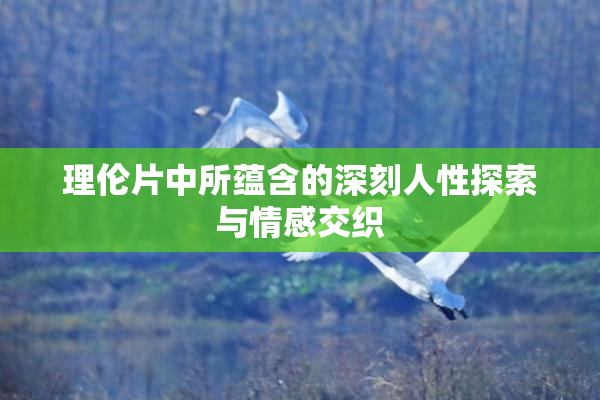 理伦片中所蕴含的深刻人性探索与情感交织
