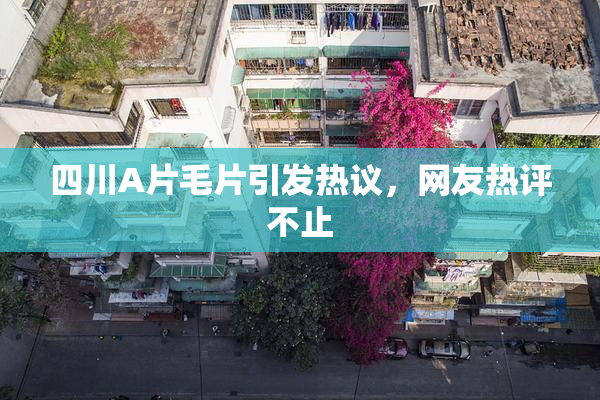 四川A片毛片引发热议，网友热评不止