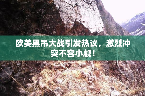 欧美黑吊大战引发热议，激烈冲突不容小觑！