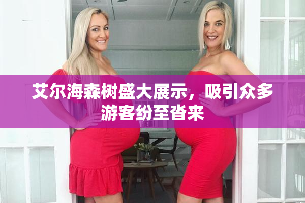 艾尔海森树盛大展示，吸引众多游客纷至沓来