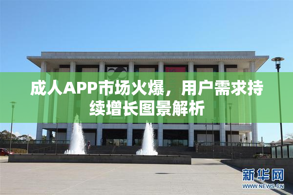 成人APP市场火爆，用户需求持续增长图景解析
