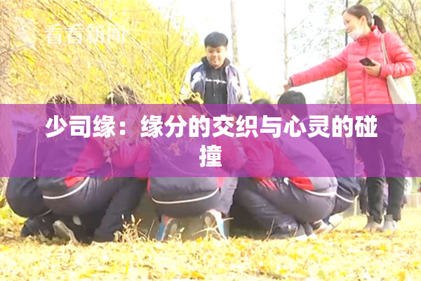 少司缘：缘分的交织与心灵的碰撞
