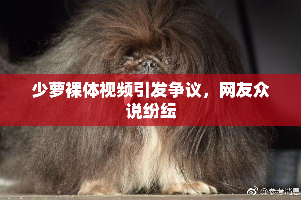 少萝裸体视频引发争议，网友众说纷纭