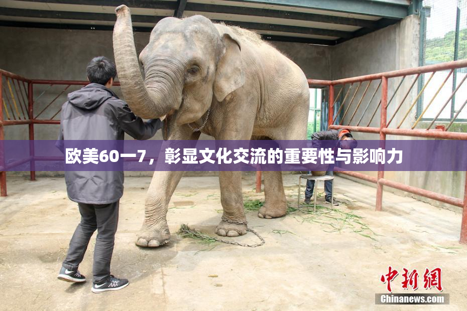 欧美60一7，彰显文化交流的重要性与影响力