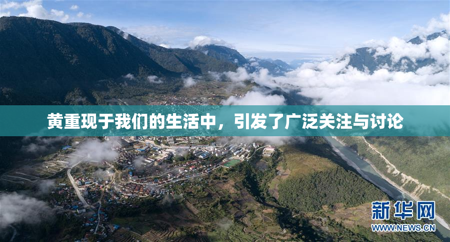 黄重现于我们的生活中，引发了广泛关注与讨论