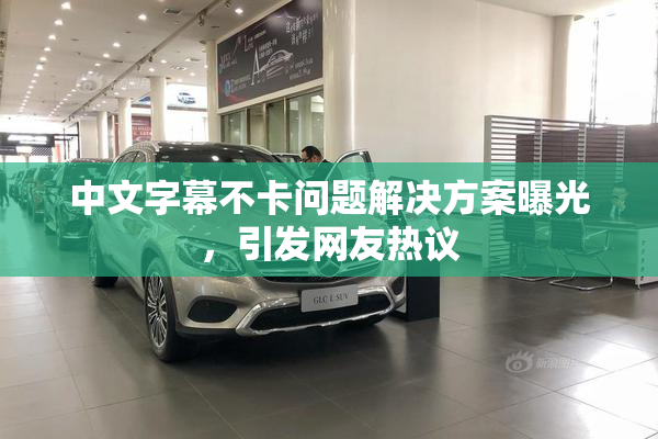 中文字幕不卡问题解决方案曝光，引发网友热议