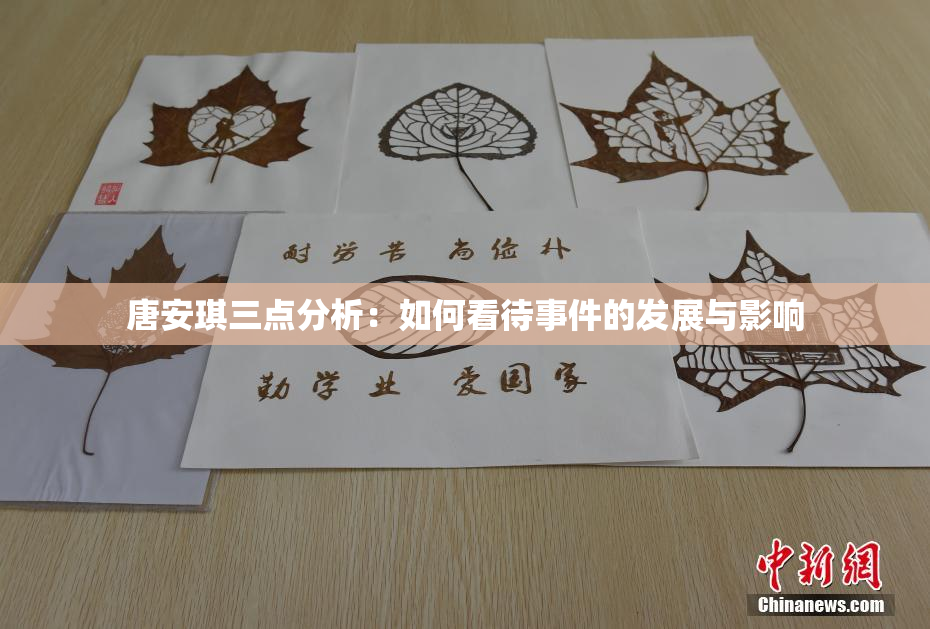 唐安琪三点分析：如何看待事件的发展与影响