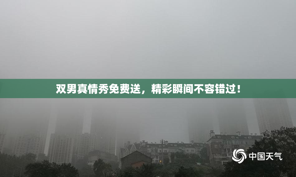 双男真情秀免费送，精彩瞬间不容错过！