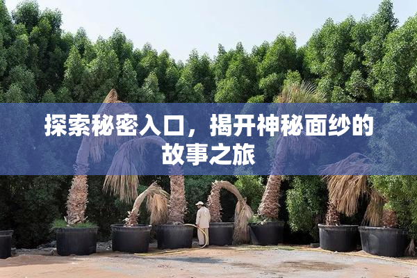 探索秘密入口，揭开神秘面纱的故事之旅