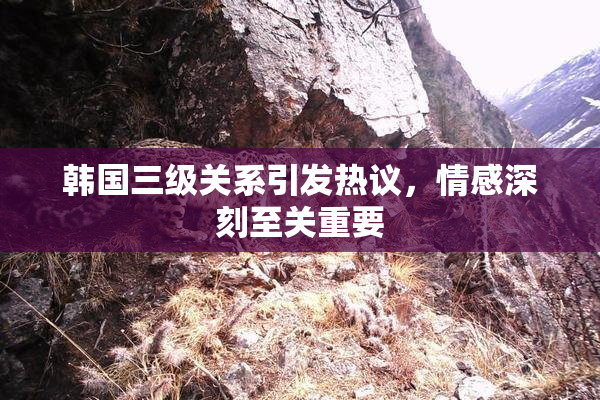 韩国三级关系引发热议，情感深刻至关重要