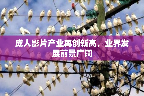 成人影片产业再创新高，业界发展前景广阔
