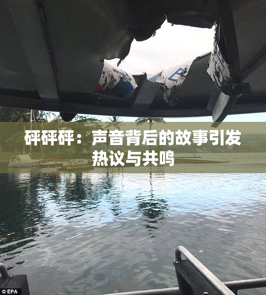 砰砰砰：声音背后的故事引发热议与共鸣