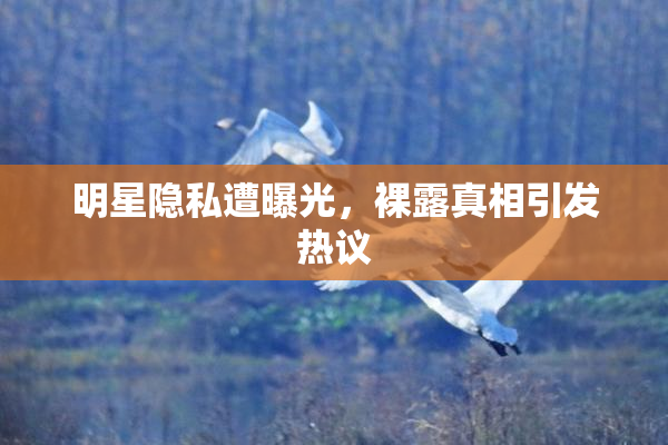 明星隐私遭曝光，裸露真相引发热议