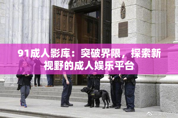 91成人影库：突破界限，探索新视野的成人娱乐平台