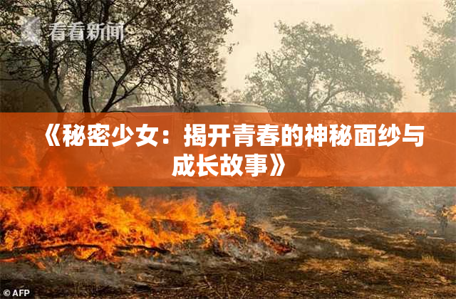 《秘密少女：揭开青春的神秘面纱与成长故事》