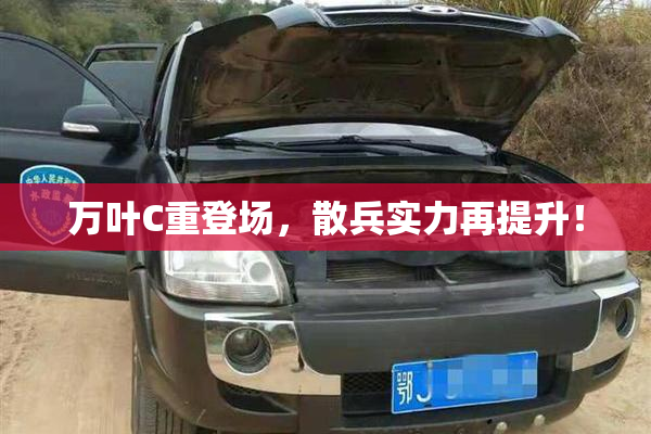 万叶C重登场，散兵实力再提升！