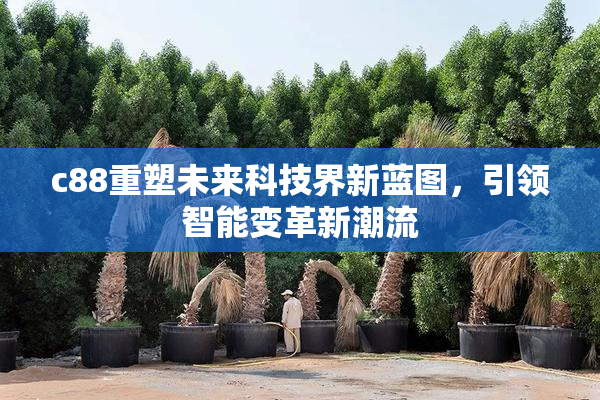 c88重塑未来科技界新蓝图，引领智能变革新潮流