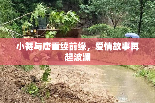 小舞与唐重续前缘，爱情故事再起波澜
