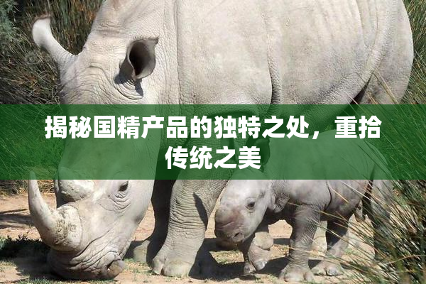揭秘国精产品的独特之处，重拾传统之美