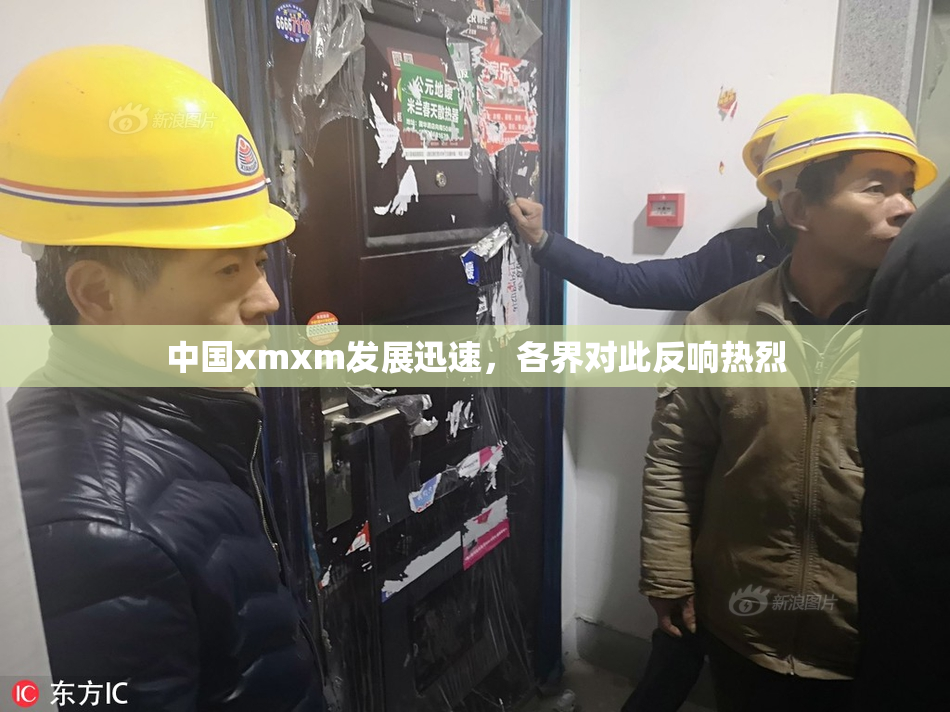中国xmxm发展迅速，各界对此反响热烈