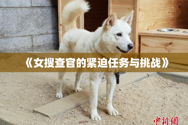 《女搜查官的紧迫任务与挑战》
