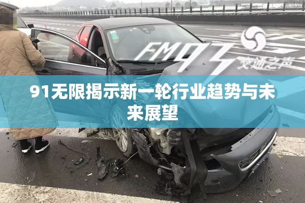91无限揭示新一轮行业趋势与未来展望