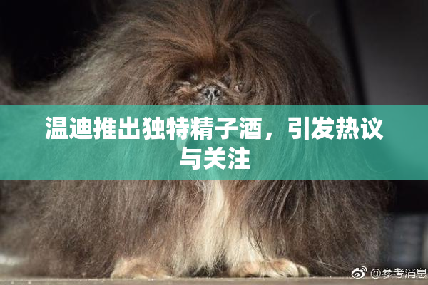温迪推出独特精子酒，引发热议与关注