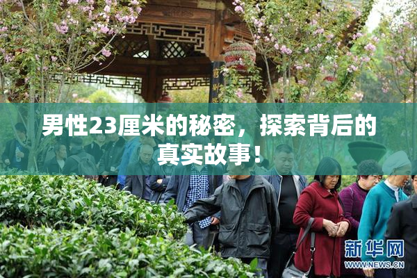 男性23厘米的秘密，探索背后的真实故事！