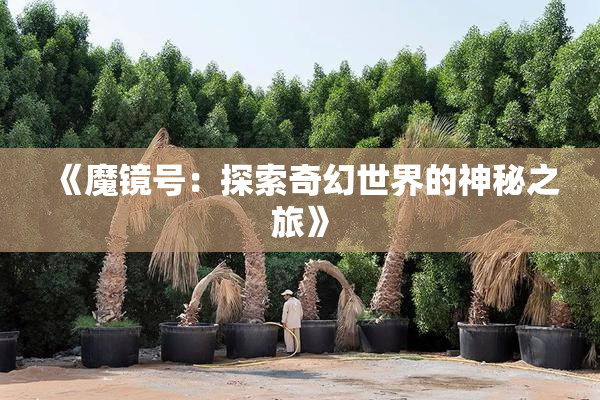 《魔镜号：探索奇幻世界的神秘之旅》