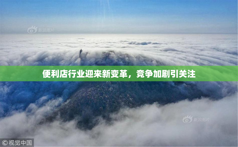 便利店行业迎来新变革，竞争加剧引关注