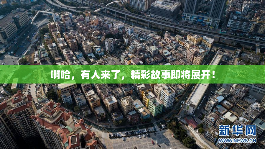 啊哈，有人来了，精彩故事即将展开！