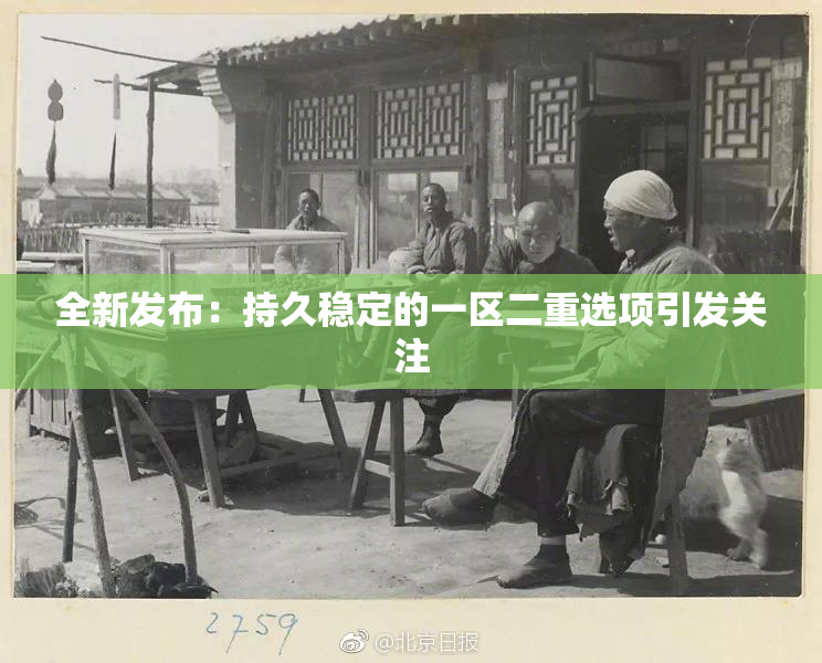 全新发布：持久稳定的一区二重选项引发关注