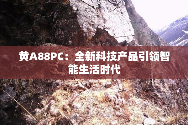 黄A88PC：全新科技产品引领智能生活时代