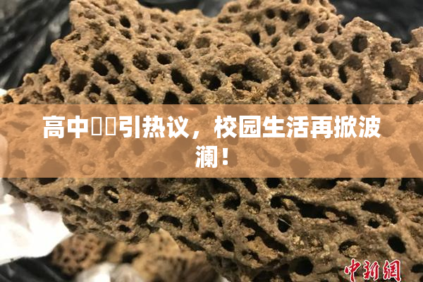 高中妺妺引热议，校园生活再掀波澜！