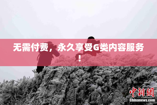 无需付费，永久享受G类内容服务！