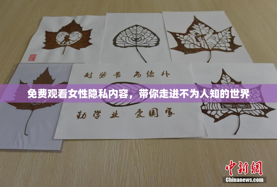 免费观看女性隐私内容，带你走进不为人知的世界