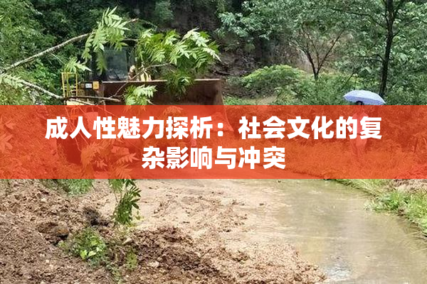 成人性魅力探析：社会文化的复杂影响与冲突