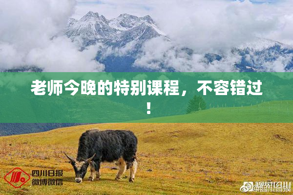 老师今晚的特别课程，不容错过！